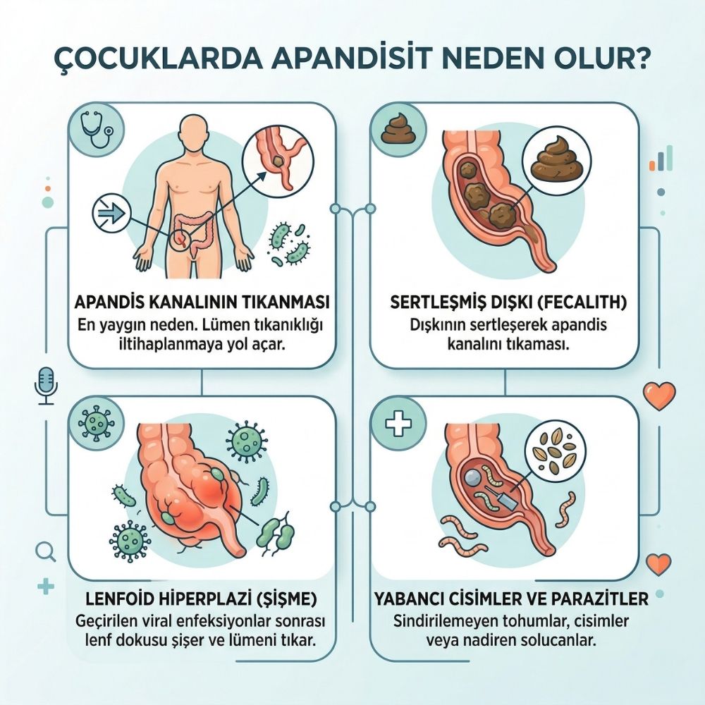 izmir apandisit belirtileri Ã§ocuk