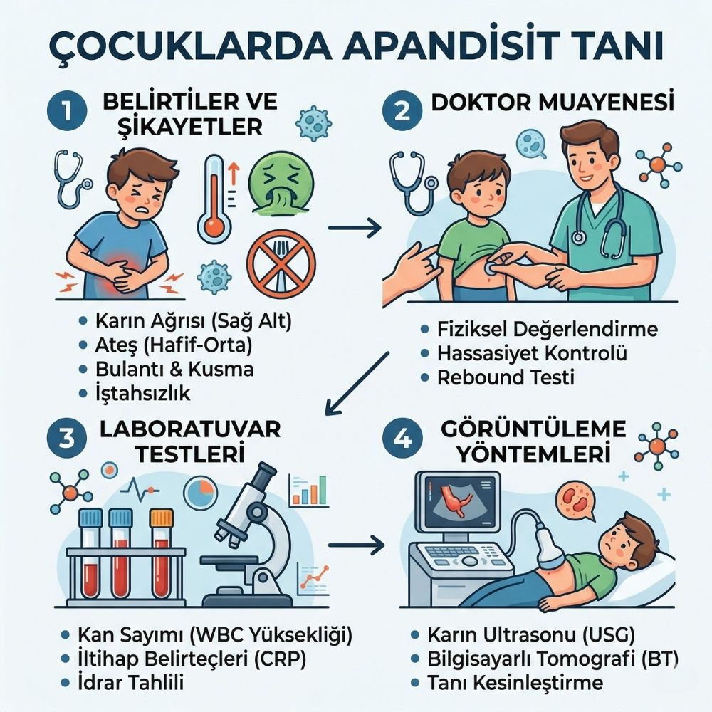 apandisit nedir