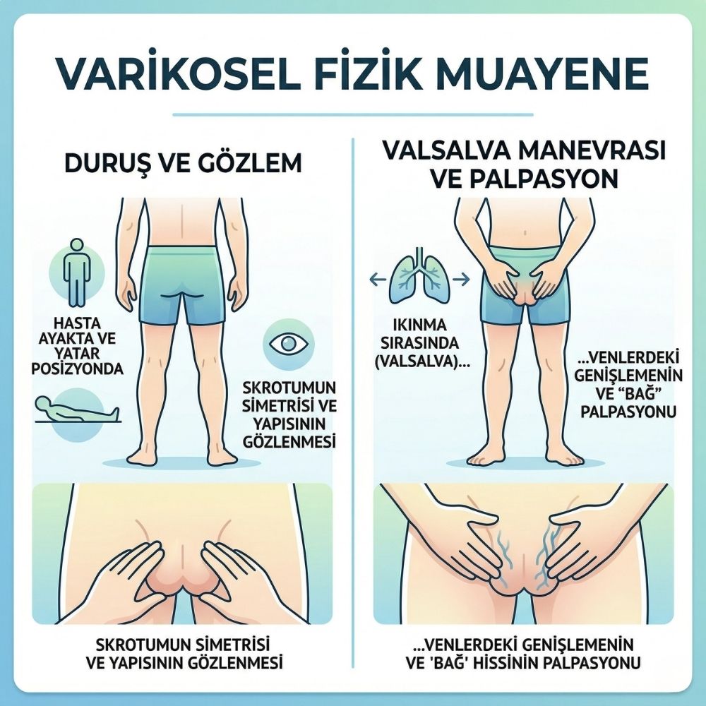 Ã§ocuklarda varikosel