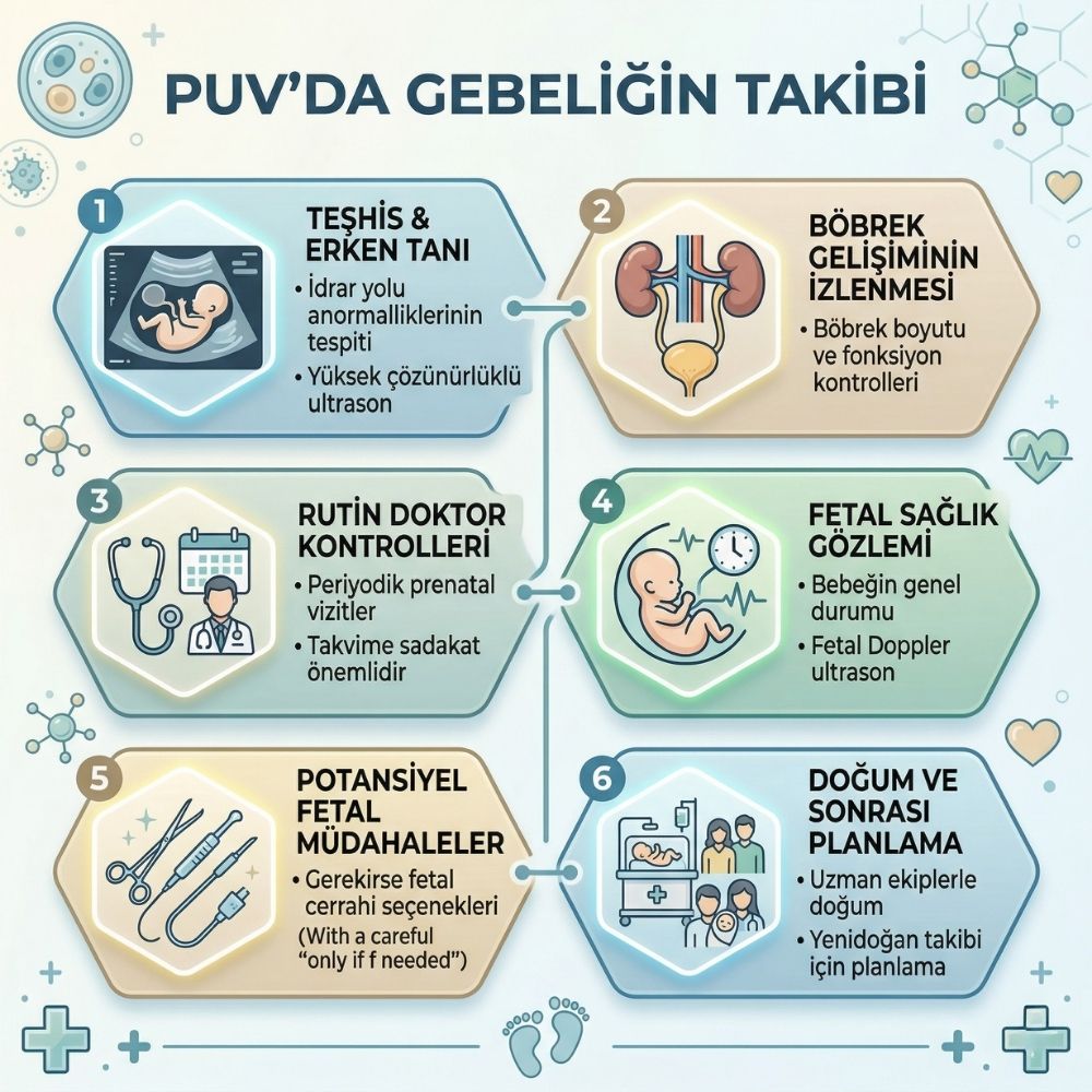 posterior tÄ±pta nedir