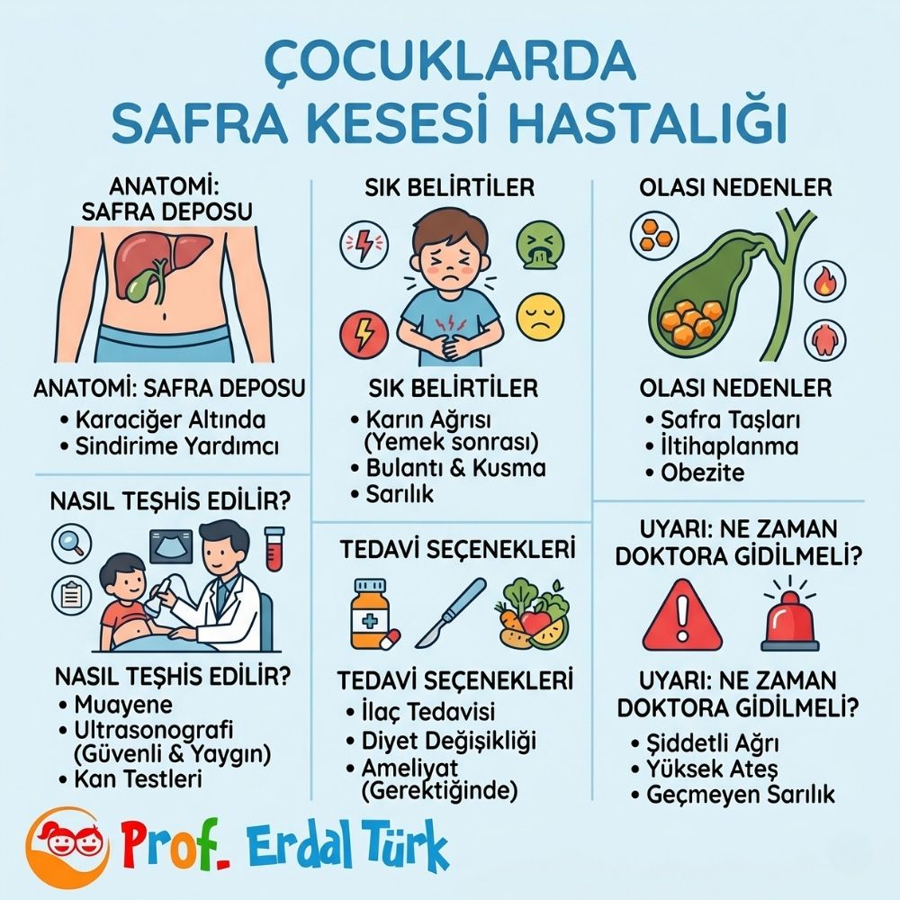 Ã§ocuklarda safra kesesi taÅÄ± belirtileri