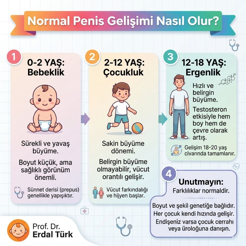 15 yaÅÄ±ndaki bir Ã§ocuÄun pipisi ne kadar olmalÄ±