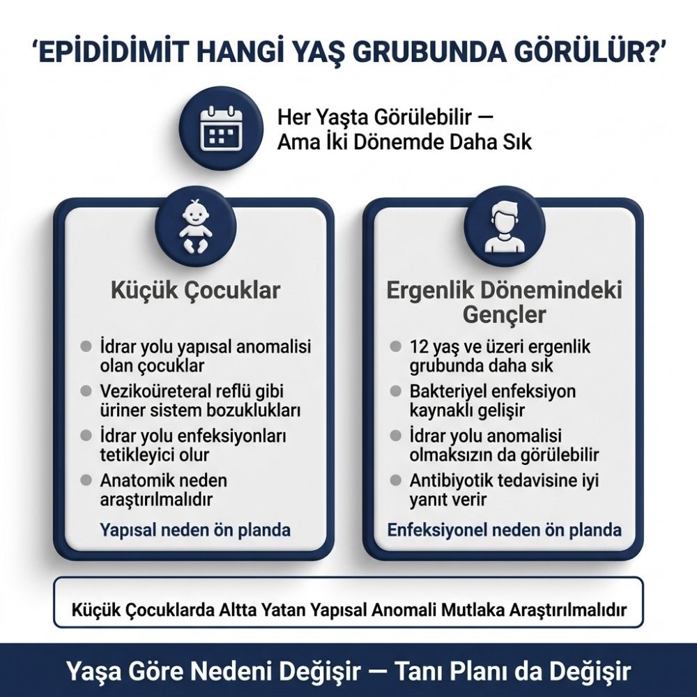 boÅalÄ±rken testisin yukarÄ± Ã§Ä±kmasÄ±