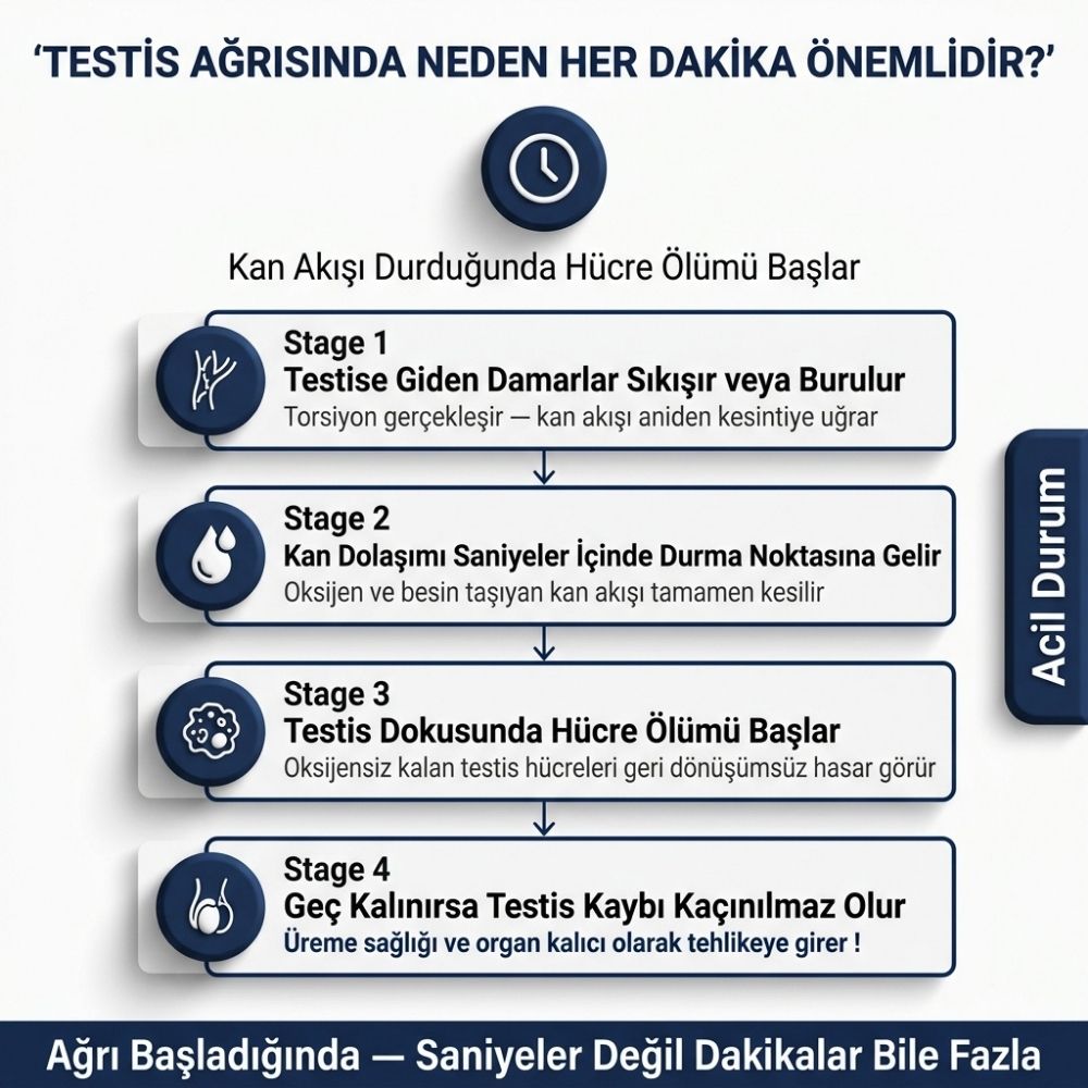 Ã§ocuklarda testis aÄrÄ±sÄ±