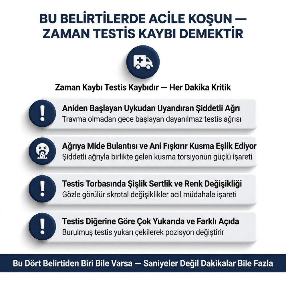 testiste damar geniÅlemesi